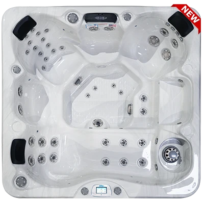 Avalon-X EC-849LX hot tubs for sale in Lorain